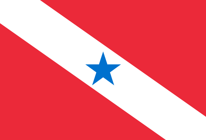 Bandeira do Pará